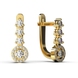 Red Gold Diamond Earrings 36812421